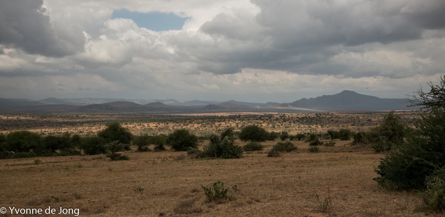 Lolldaiga Hills Ranch, Laikipia.