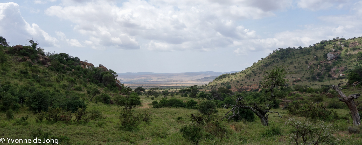 Lolldaiga Hills Ranch, Laikipia.