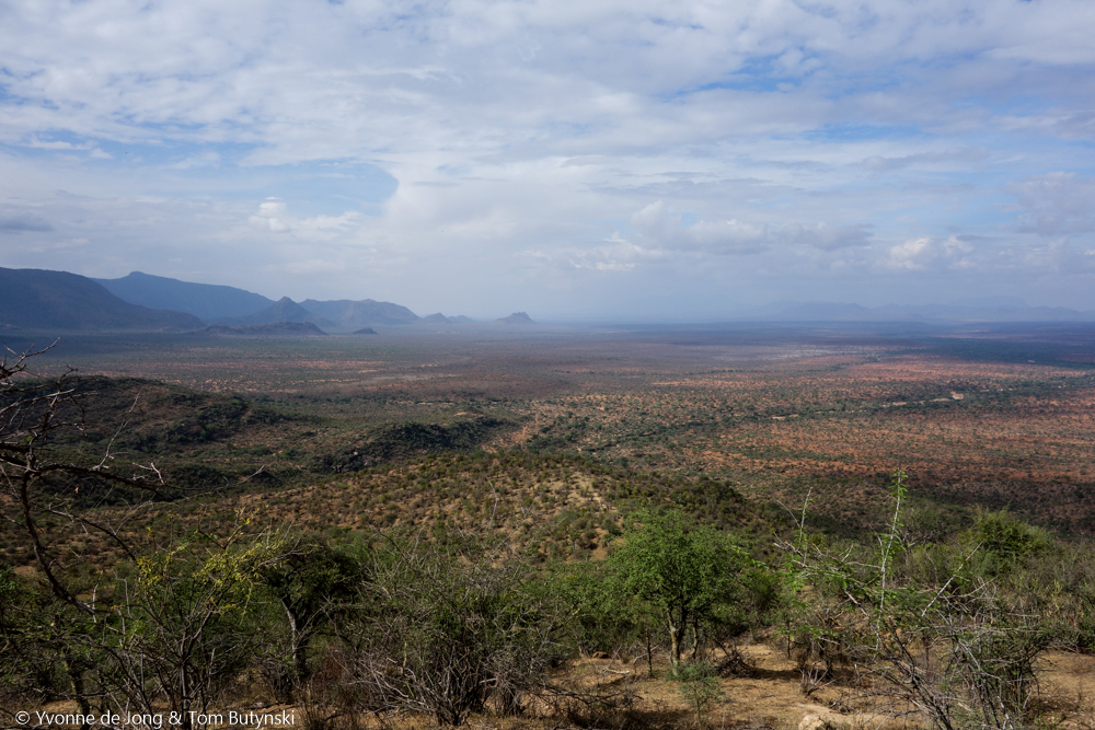 Lekurruki Conservancy, Laikipia