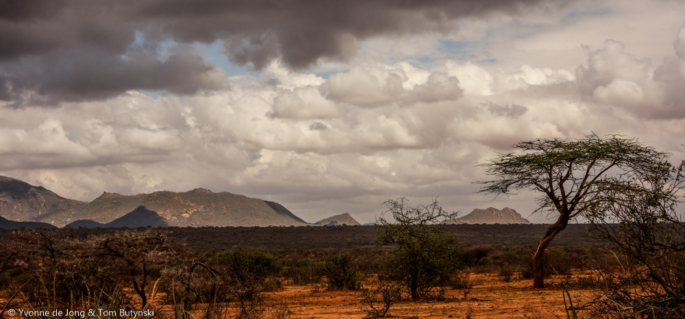 Lekurruki Conservancy, Laikipia