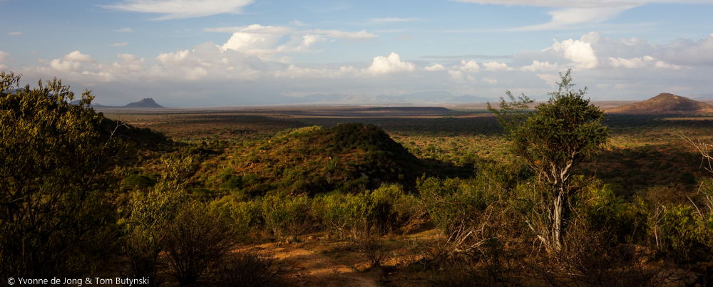Lekurruki Conservancy, Laikipia