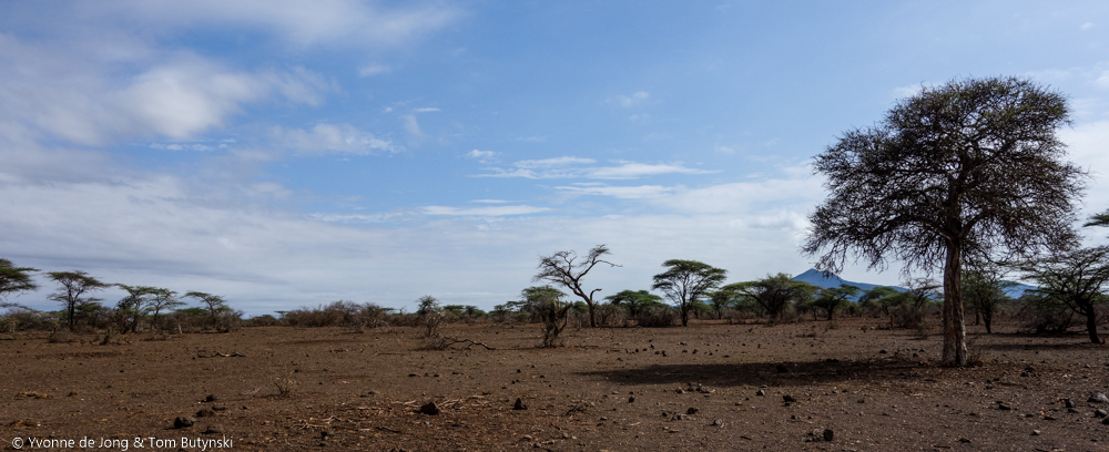 North-east Laikipia.