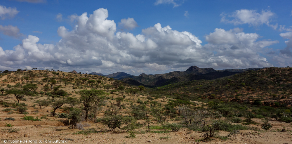 North-east Laikipia.