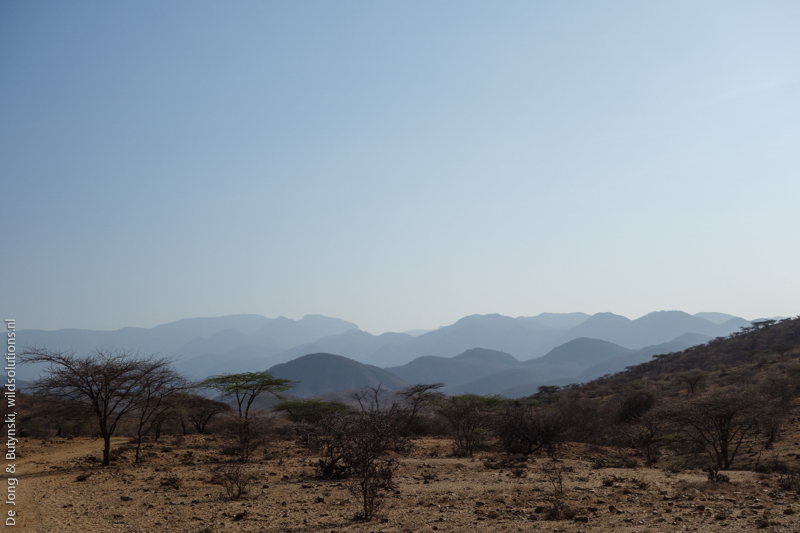 Mathews Range, Samburu County, Kenya.
