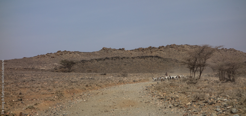 Samburu County, Kenya.