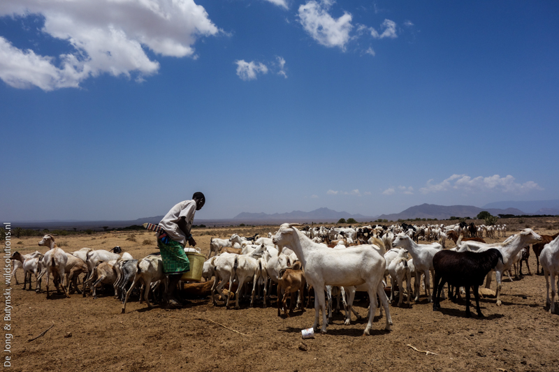 Lesirikan, Samburu County, Kenya.