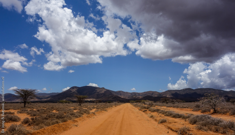 Ndoto Mountains, Lesirikan, Samburu County, Kenya.