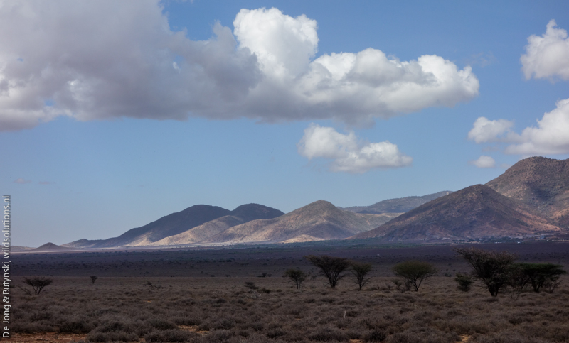 Ndoto Mountains, Lesirikan, Samburu County, Kenya.