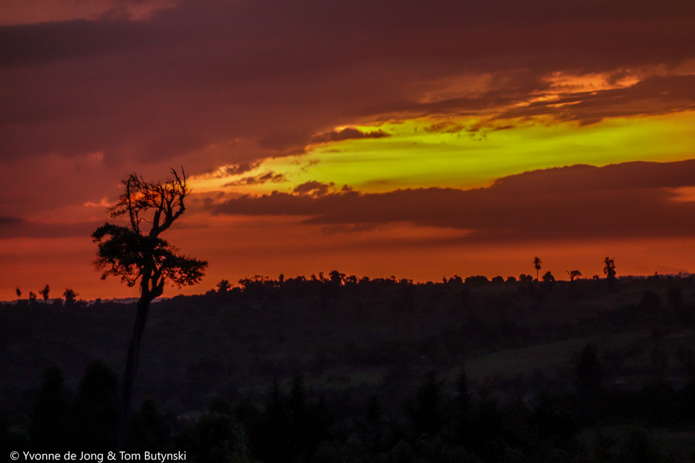 South Western Mau Forest Reserve