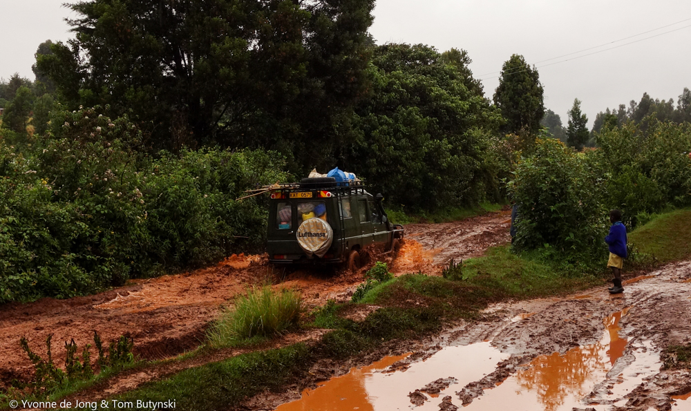 South Western Mau Forest Reserve