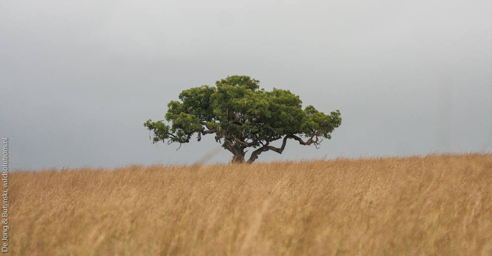 Kidepo Valley National Park