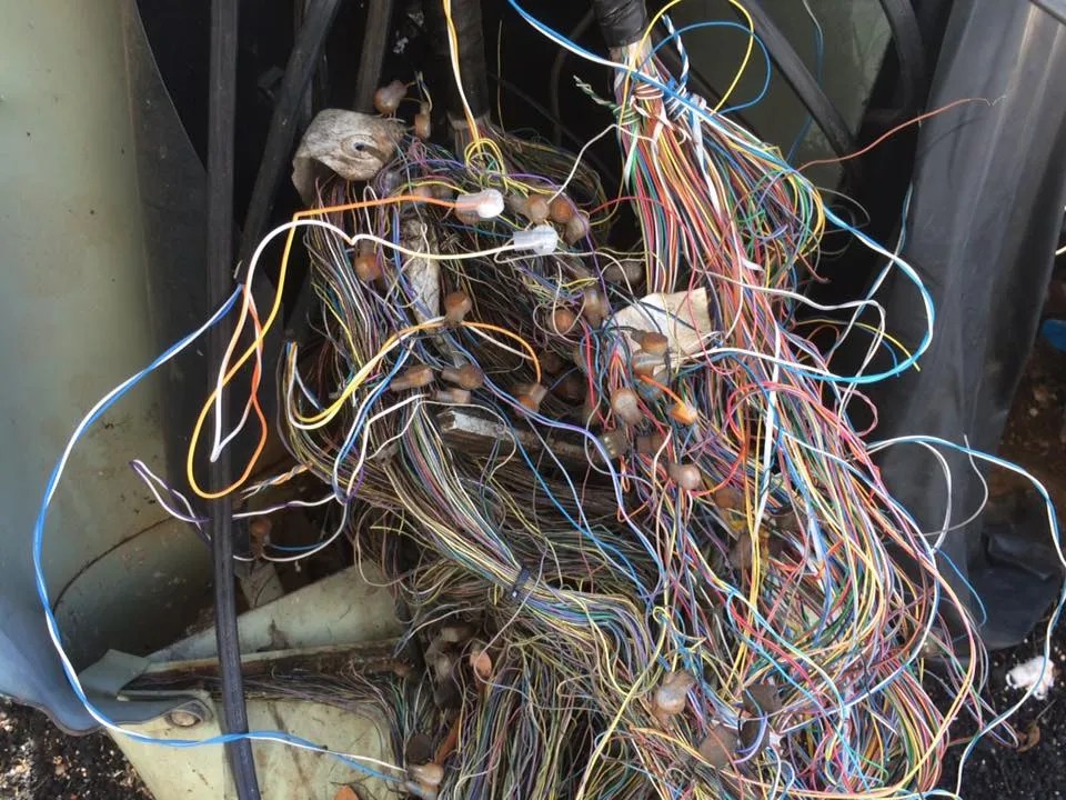 up-to-code wires snake in the concrete Will Eskridge