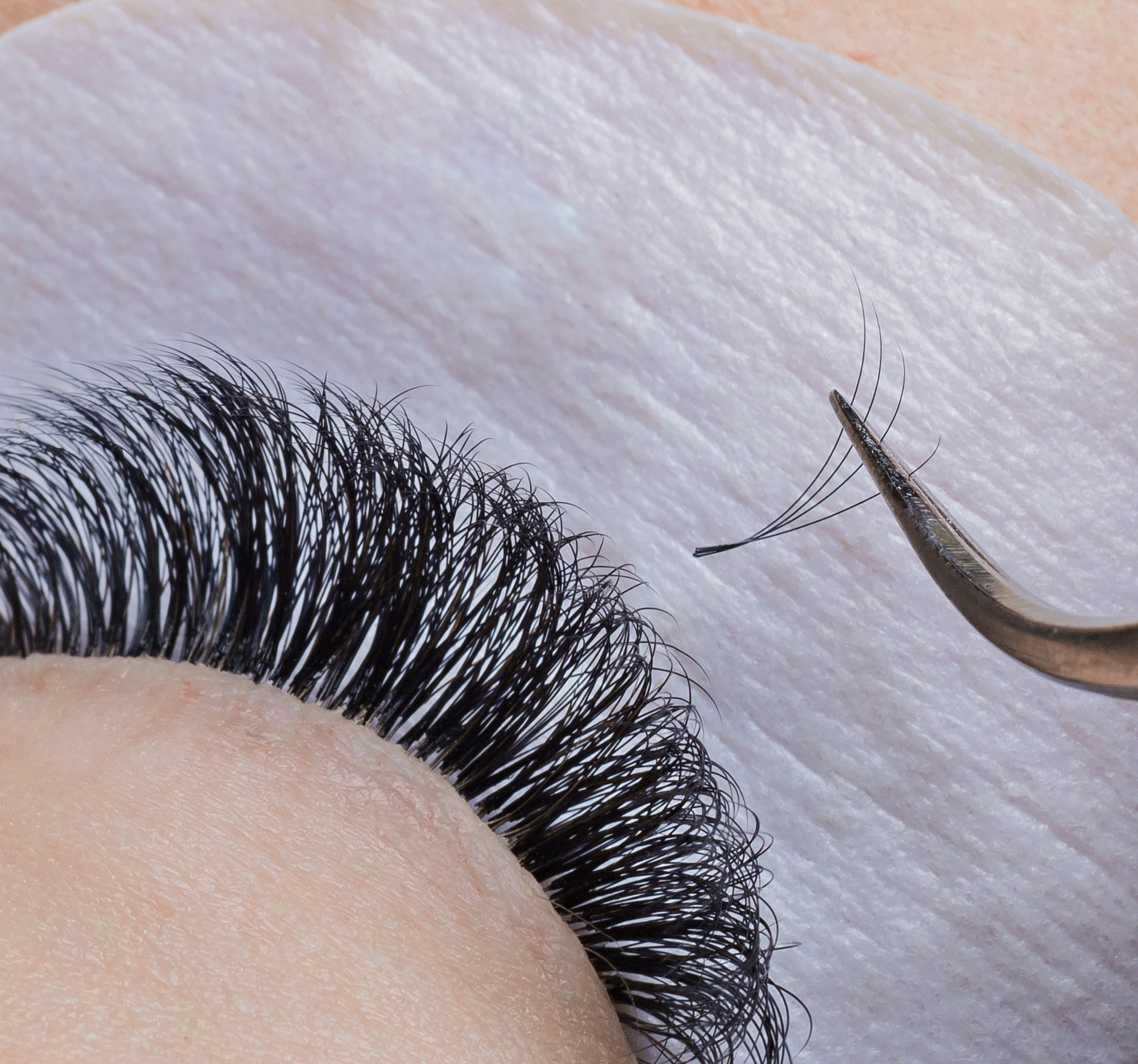 Das wimpernprodukt ist lebendig, glamourös und glänzend.sie würden wie eine puppe oder eine verführerische frau aussehen, wenn sie diese nerz wimpern tragen. 3d Wimpern Test Vergleich 2021 Die 5 Besten 3d Lashes Im Vergleich