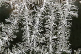 Frosted window pain