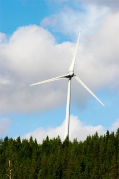 Zu viele Windräder in Rheinhessen?