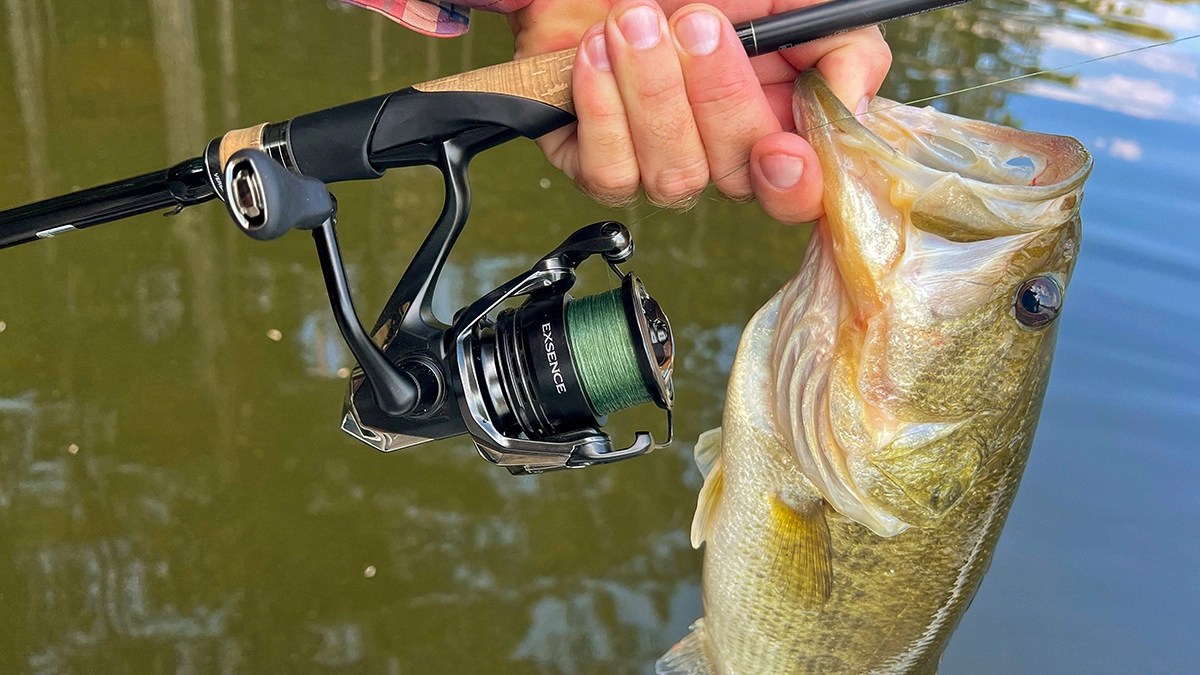 Unboxing and Review: Shimano's Premium Exsence B Spinning Reel - Is It Worth the Price? (2026)
