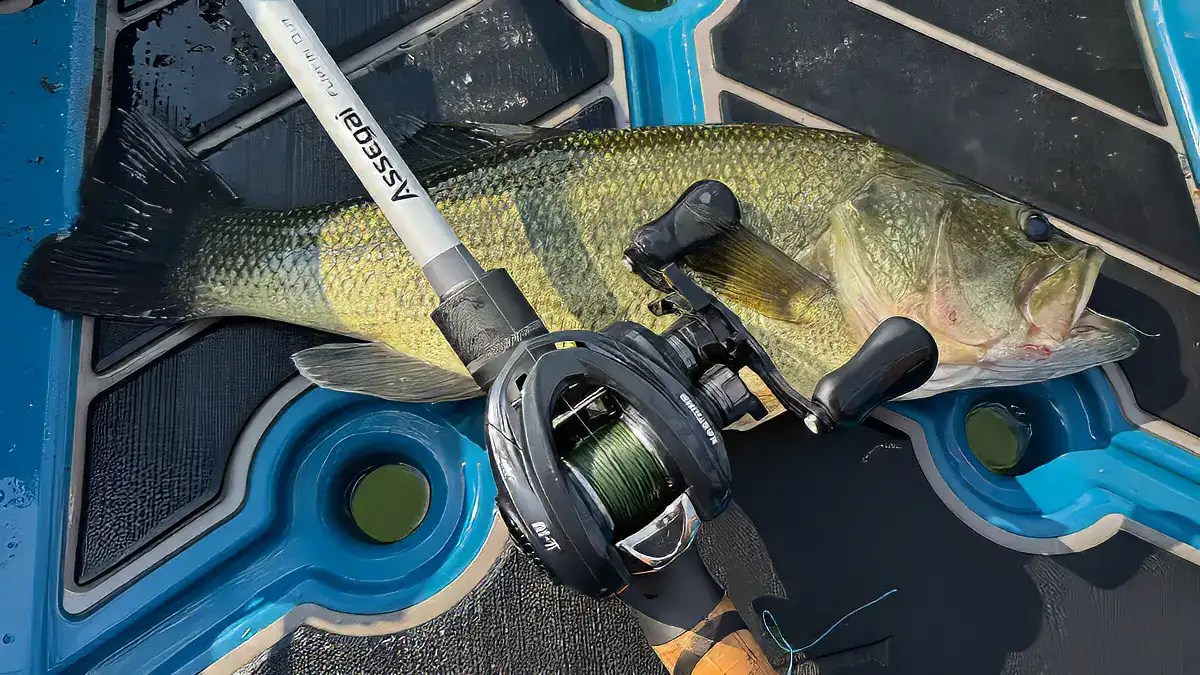 KastKing Al-Ti Elite: The Ultimate Baitcasting Reel? (2026)
