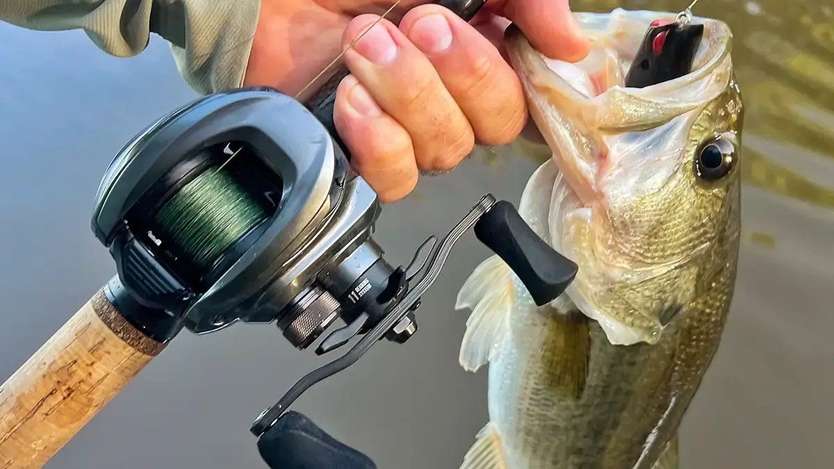 The Evolution of Baitcasters: A Look at Modern Innovations (2026)