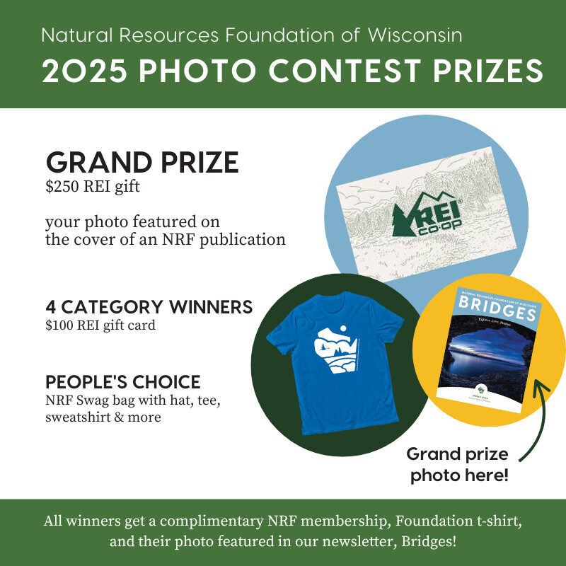 2025 Photo Contest prizes Graphic that reads Natural Resources Foundation of Wisconsin 2025 Photo Contest prizes value), $250 REI gift card, your photo featured on the cover of an NRF publication, 4 category winners $100 REI gift card People's Choice NRF swag bag with hat, tee, sweatshirt, and more. All winners get a complimentary NRF membership, Foundation t-shirt, and their photo featured in our newsletter, Bridges