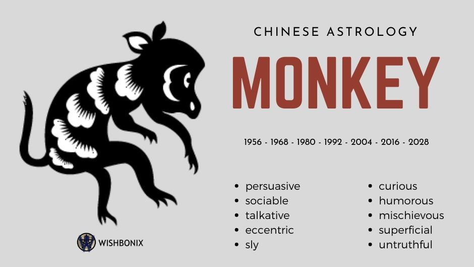 Chinese Zodiac Sign Monkey