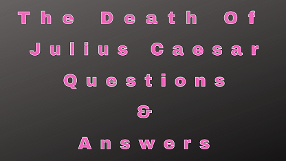 The Death Of Julius Caesar Questions Answers Wittychimp