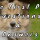 The First Pup Questions & Answers