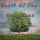 The Heart Of The Tree Questions & Answers