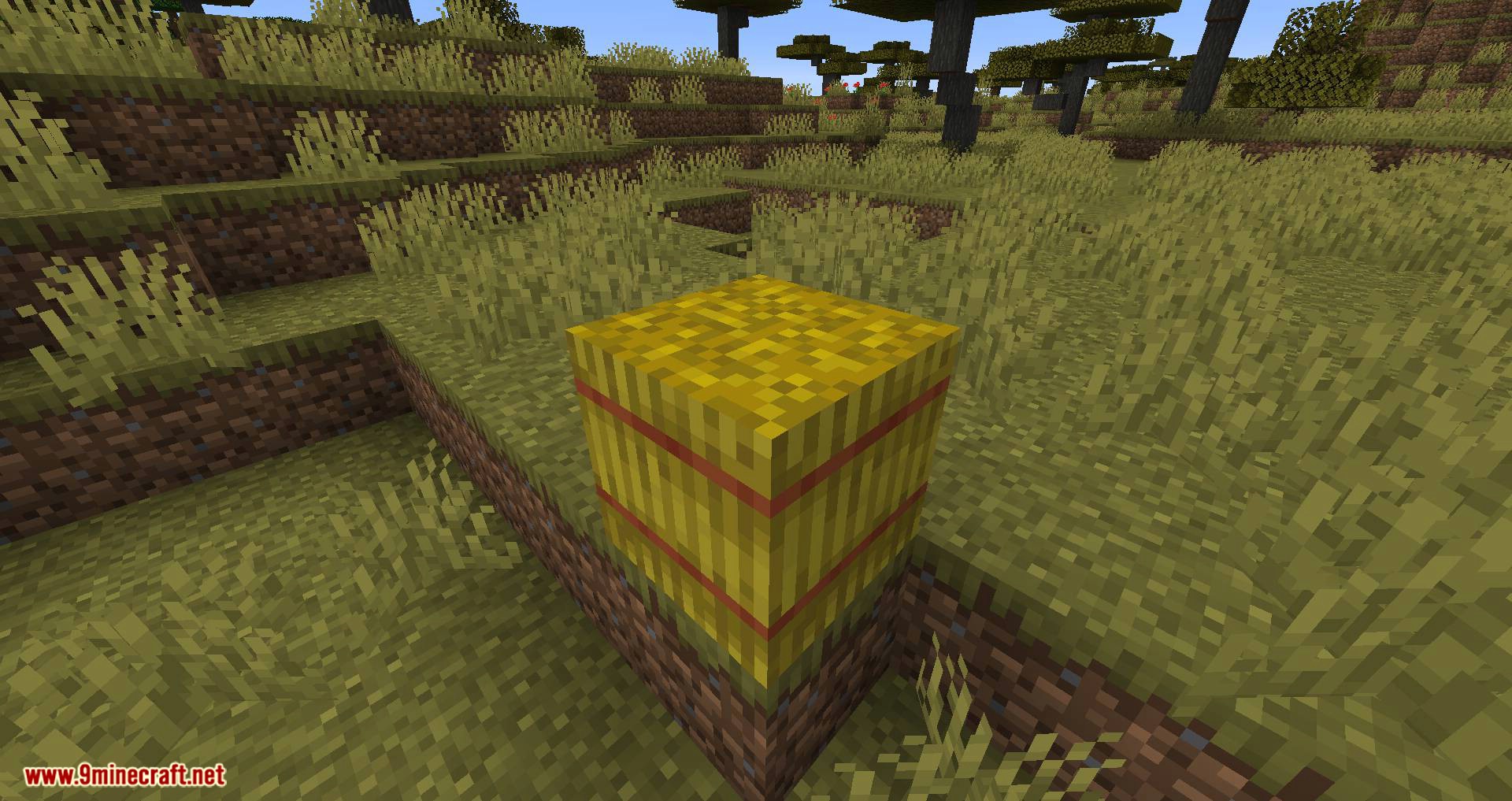 Softer Hay Bales Mod 1 16 2 1 15 2 Minecraft Mod Download