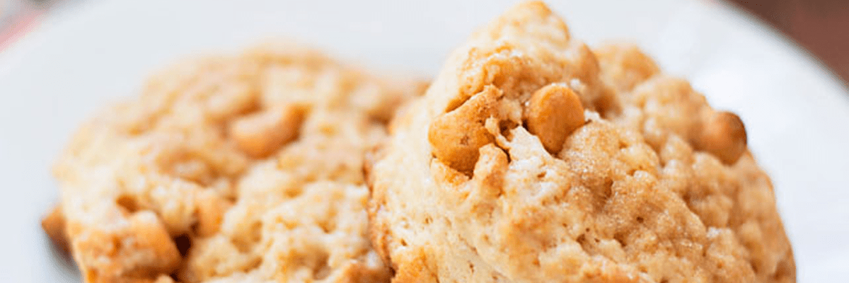 butterscotch cream scones recipe womens bean project on women's bean project scone mix