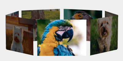 To automatically cycle through the carousel images. Responsive WordPress 3D Carousel Examples | WordPress Plugins