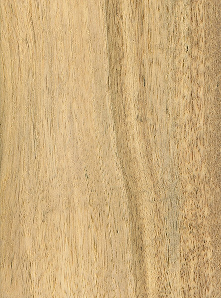 A 365nm light is best. Persimmon | The Wood Database - Lumber Identification