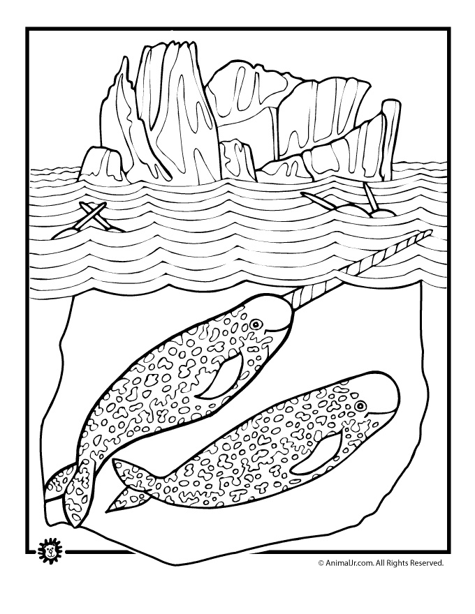 narwhal coloring page woo jr kids activities children s publishing
