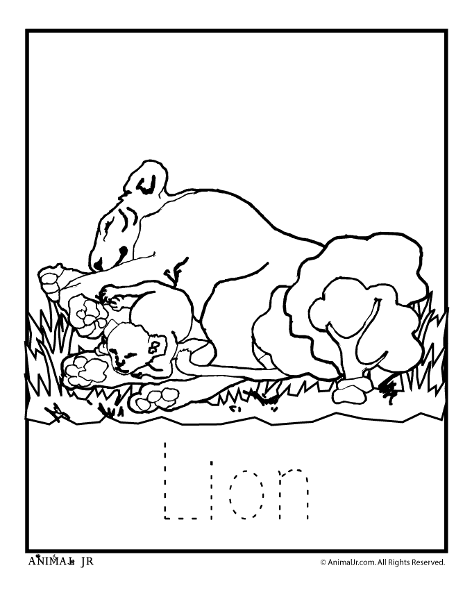 zoo babies lions woo jr kids activities children s publishing