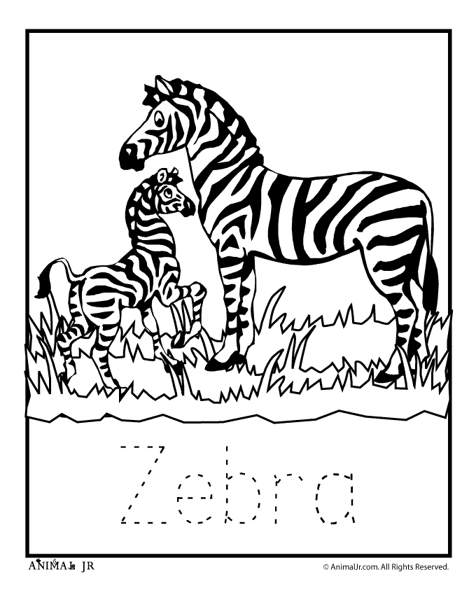 zebra zoo baby letter tracing worksheet woo jr kids activities children s publishing