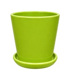 1 in 1 mini lime green pot