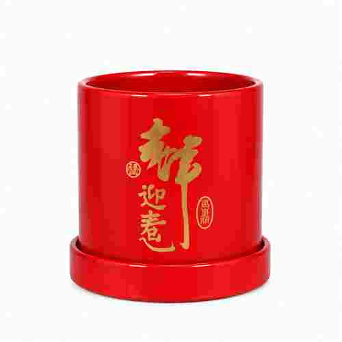 1 in 1 mini CNY pot