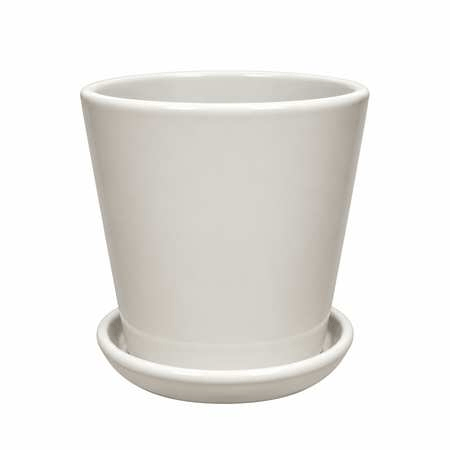White Glossy with tray