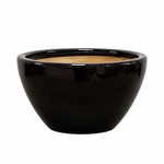 5 in 1 Black Shell Pot