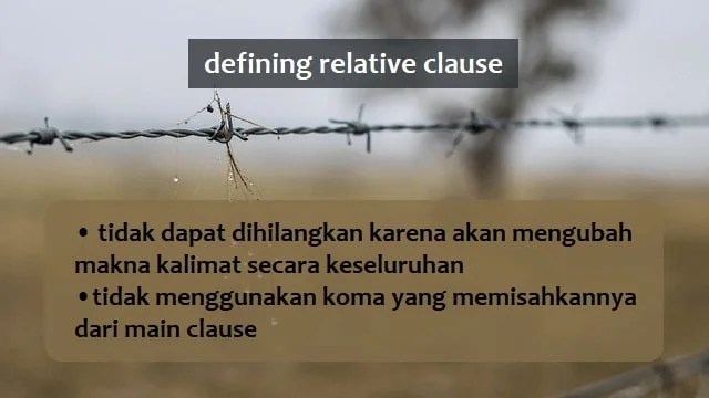 Defining/Restrictive Relative Clause: Pengertian dan Contoh Kalimat