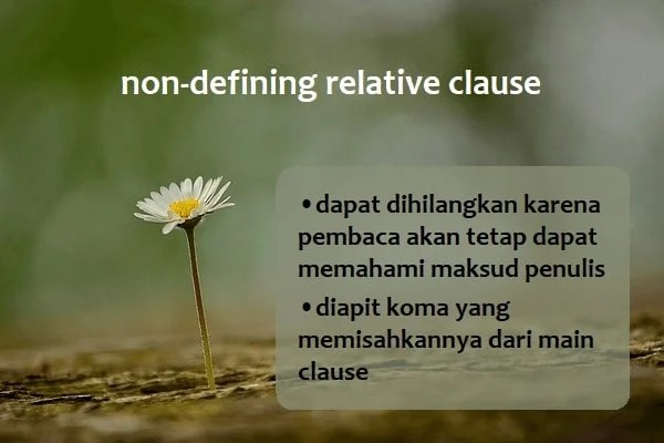 M e r d i a n t o relative clause. Non Defining Restrictive Relative Clause Pengertian Dan Contoh Kalimat