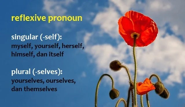 Subyek adalah orang atau benda yang melakukan tindakan atau aksi. Reflexive Pronoun Pengertian Penggunaan Dan Contoh Kalimat