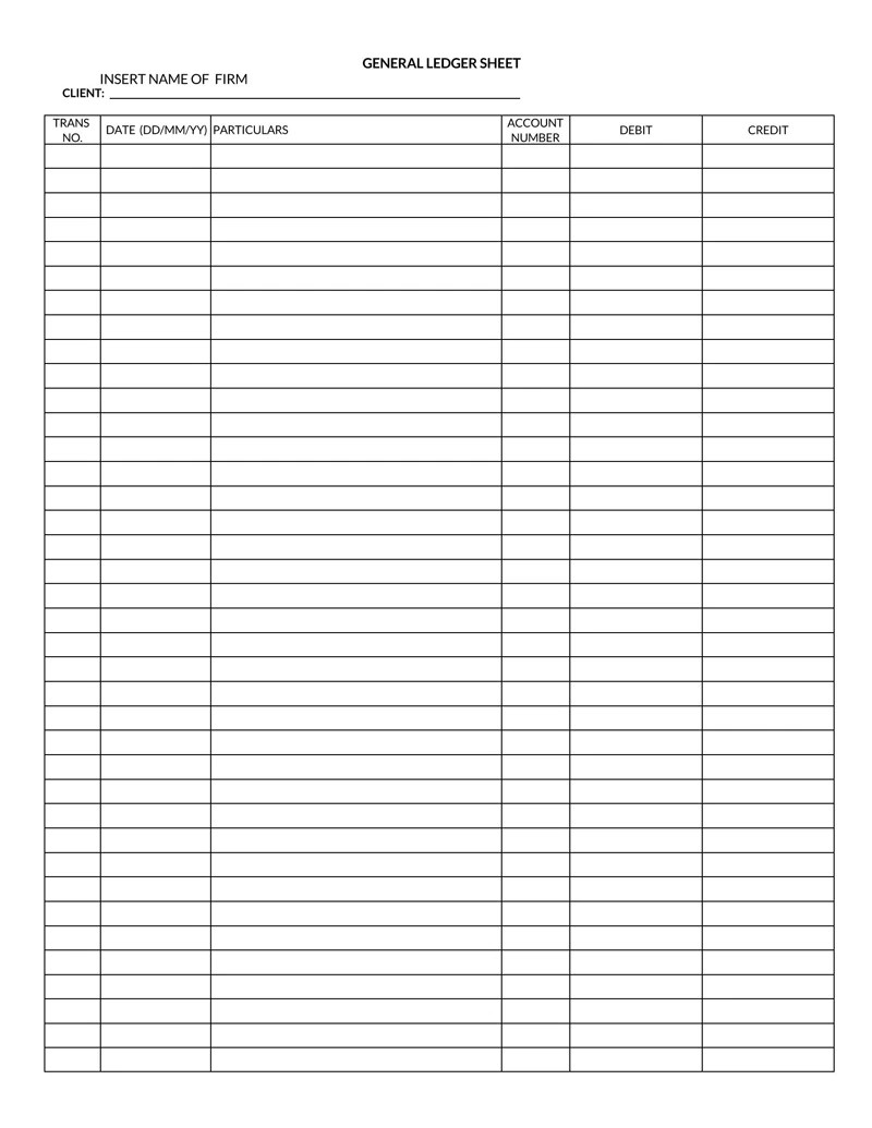 Ledger Book Template