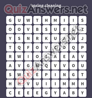 DUST TRASH BROOM VACUUM SWEEPING CHEMICALS