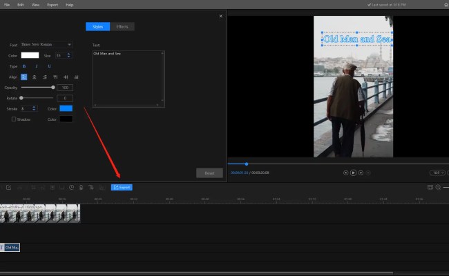 [Solved] How To Add Text To TikTok Clips 2024 - WorkinTool