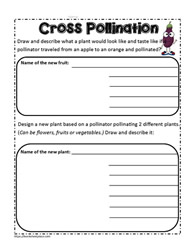 How humans can be pollinators; Parts Of A Plant Worksheets