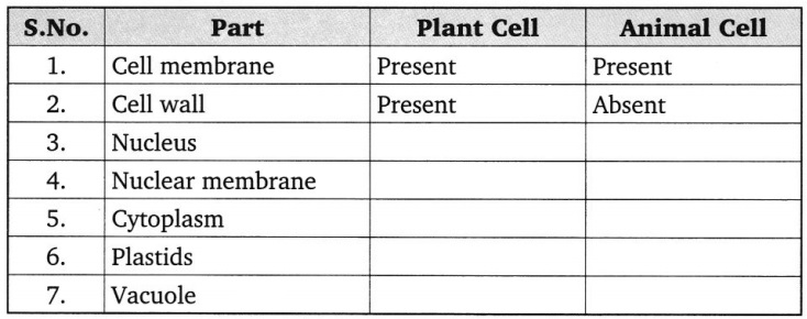 Grade 8 Cell Structure and Functions Worksheets - WorkSheets Buddy