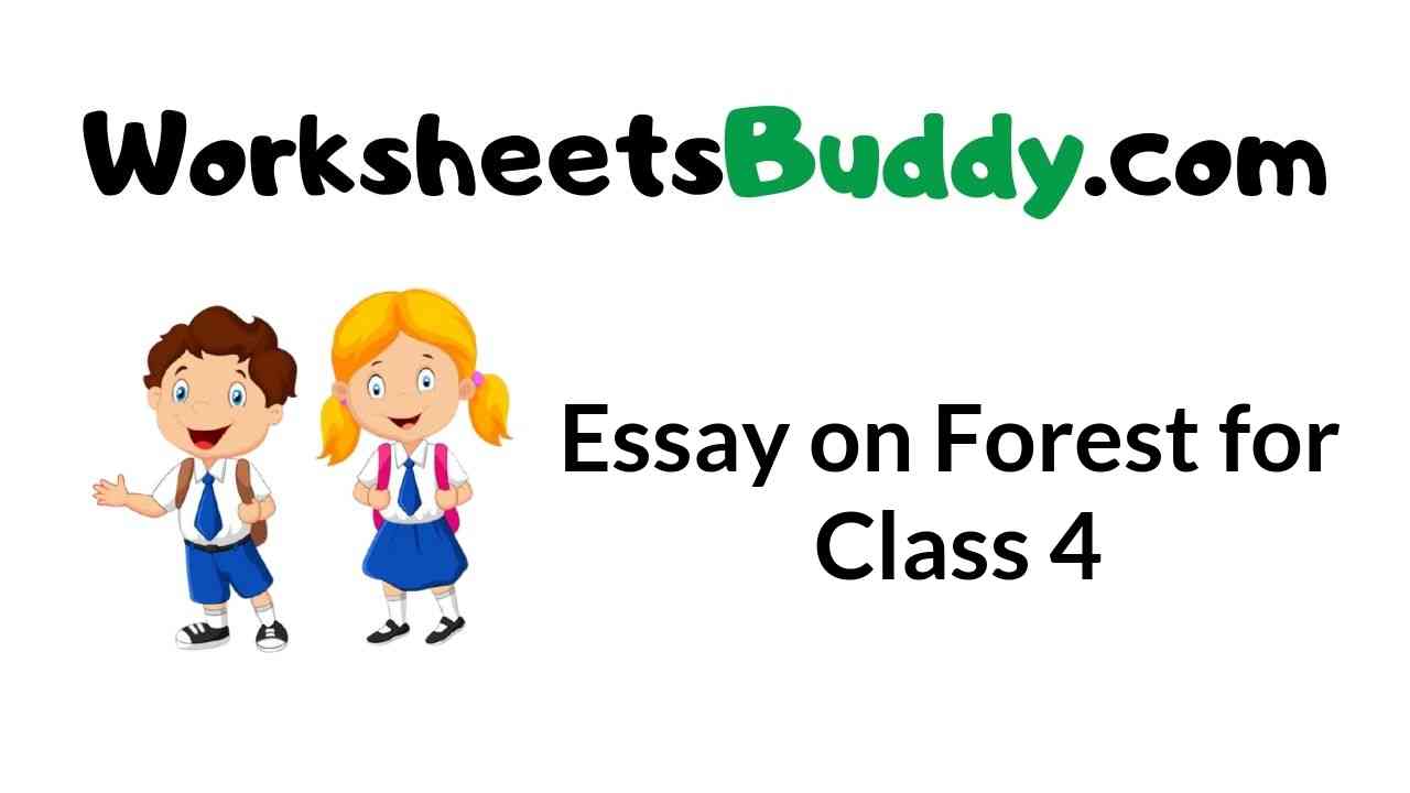 Importance of forest essay for class 10 picture