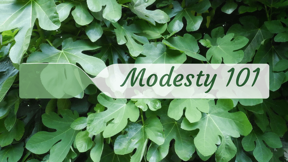 Modesty 101 fig leaves