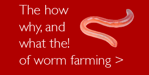 Get the facts on all things worm farming