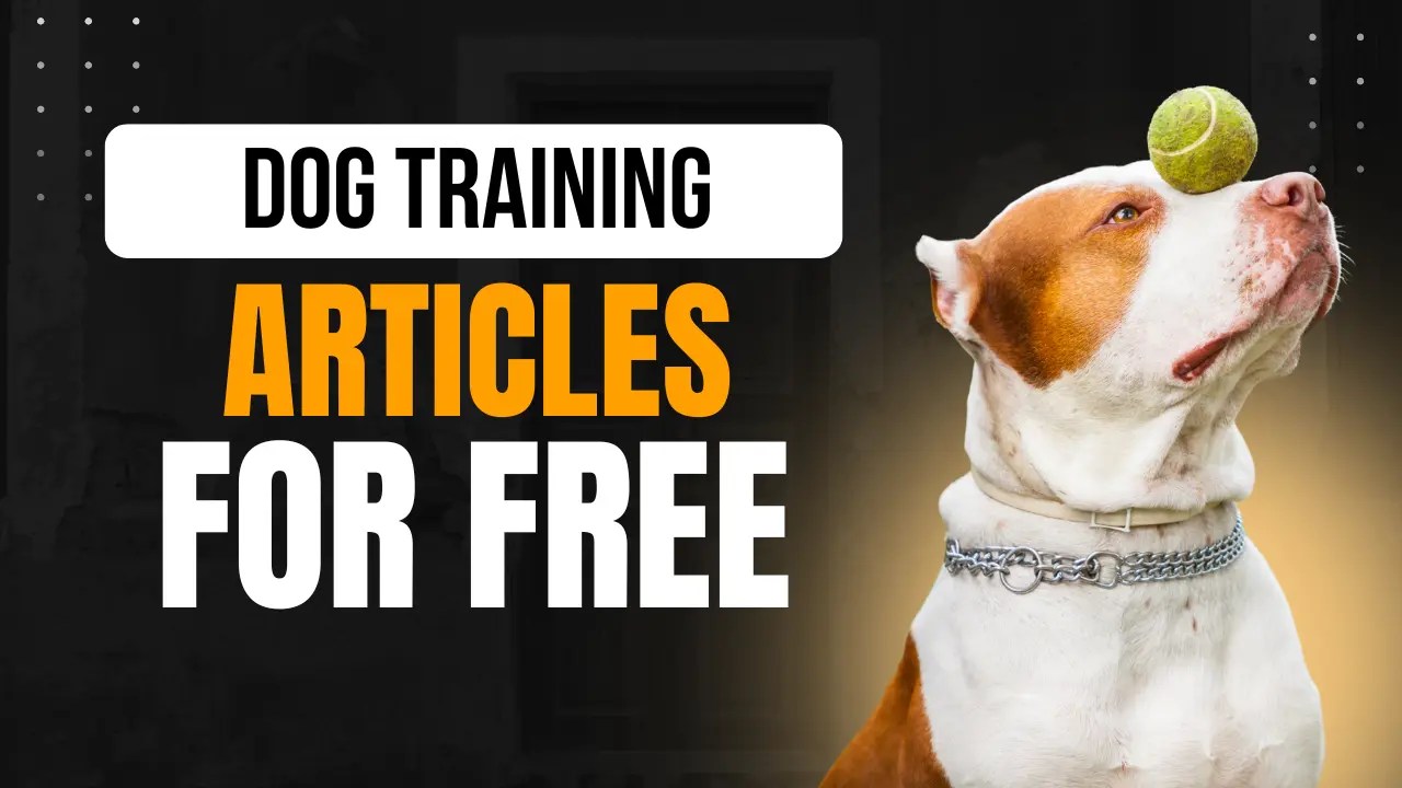 free dog training articles for wordPress